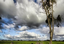 维罗纳的“圣地”传奇：一场胜利，一段不败的神话