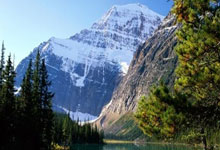 新西兰球员加盟俄超球队，期待国际舞台闪耀