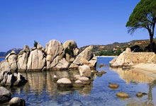 强强对话再现，场面火爆异常！年度烧脑大戏，口碑炸裂！