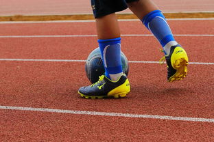 爱游戏网站-利物浦训练基地开放，备战世俱杯进入冲刺阶段