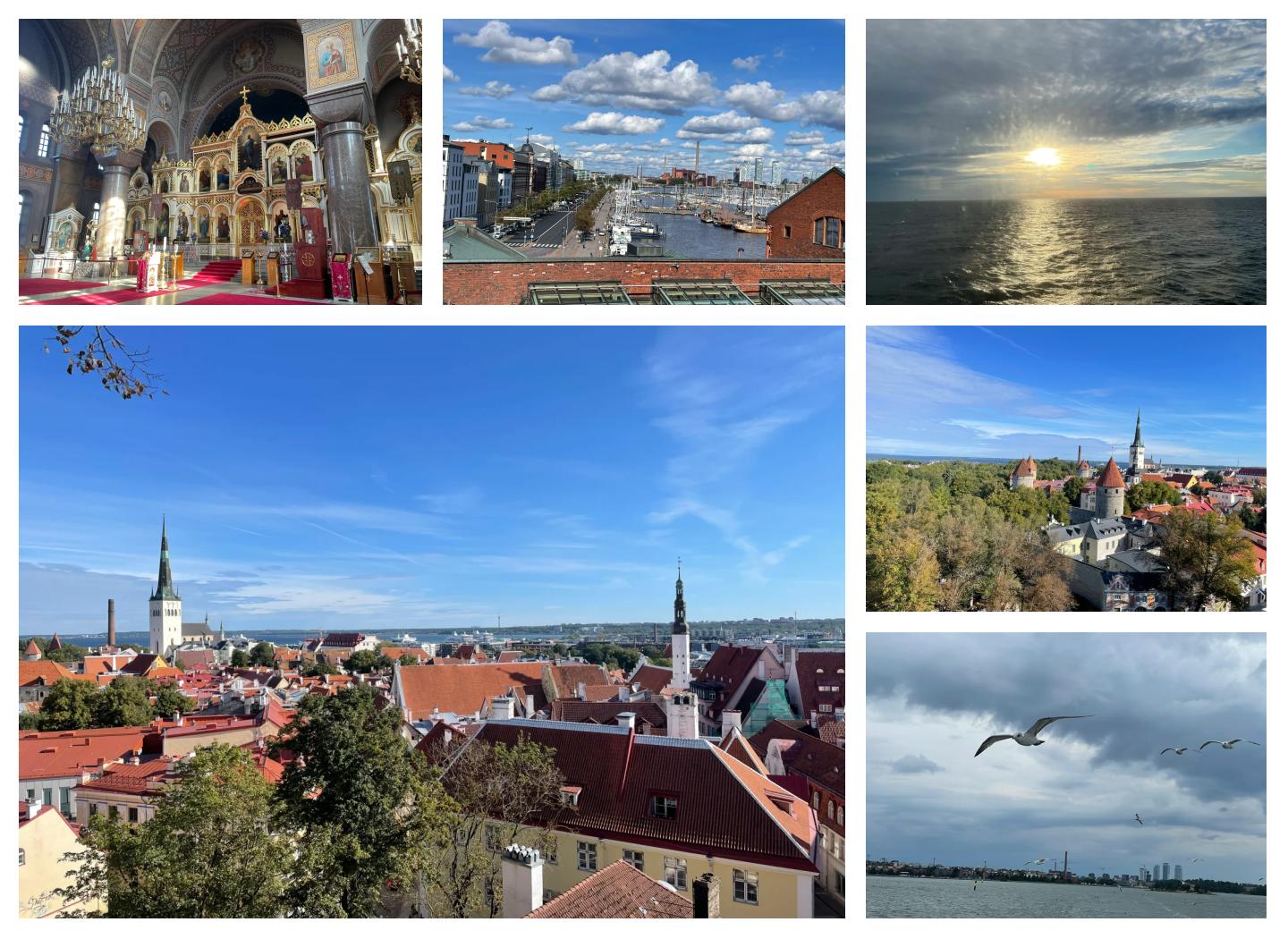 爱沙尼亚-不敌芬兰,连续失利不振的简单介绍 爱沙尼亚-不敌芬兰,连续失利不振的简单介绍